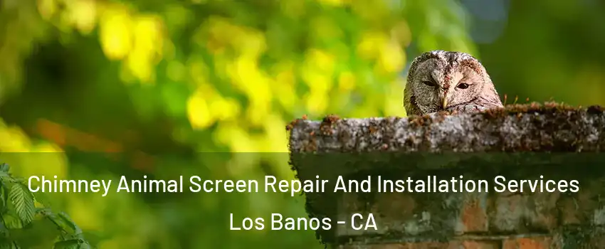  Chimney Animal Screen Repair And Installation Services Los Banos - CA