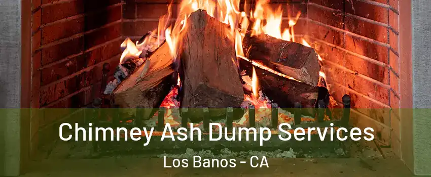  Chimney Ash Dump Services Los Banos - CA