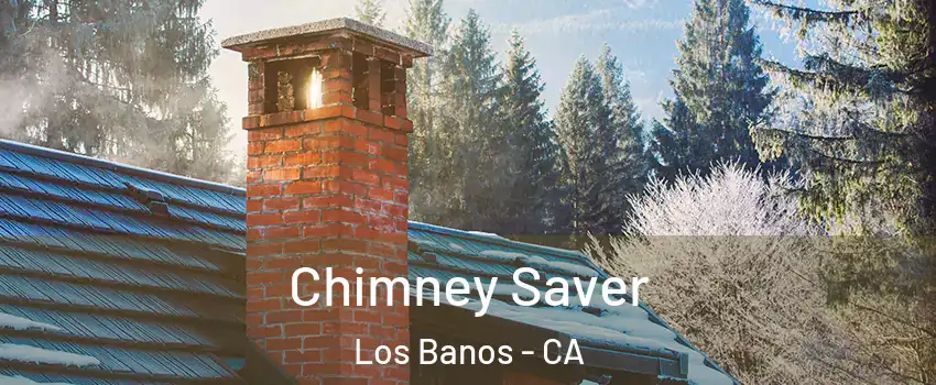 Chimney Saver Los Banos - CA