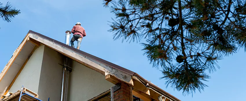 Birds Removal Contractors from Chimney in Los Banos, CA