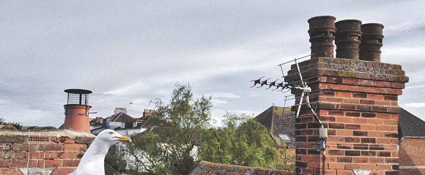 Chimney Cleaning And Restoration in Los Banos, California