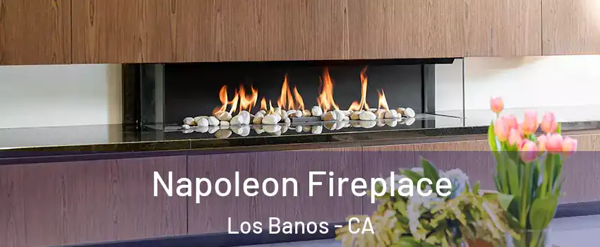  Napoleon Fireplace Los Banos - CA